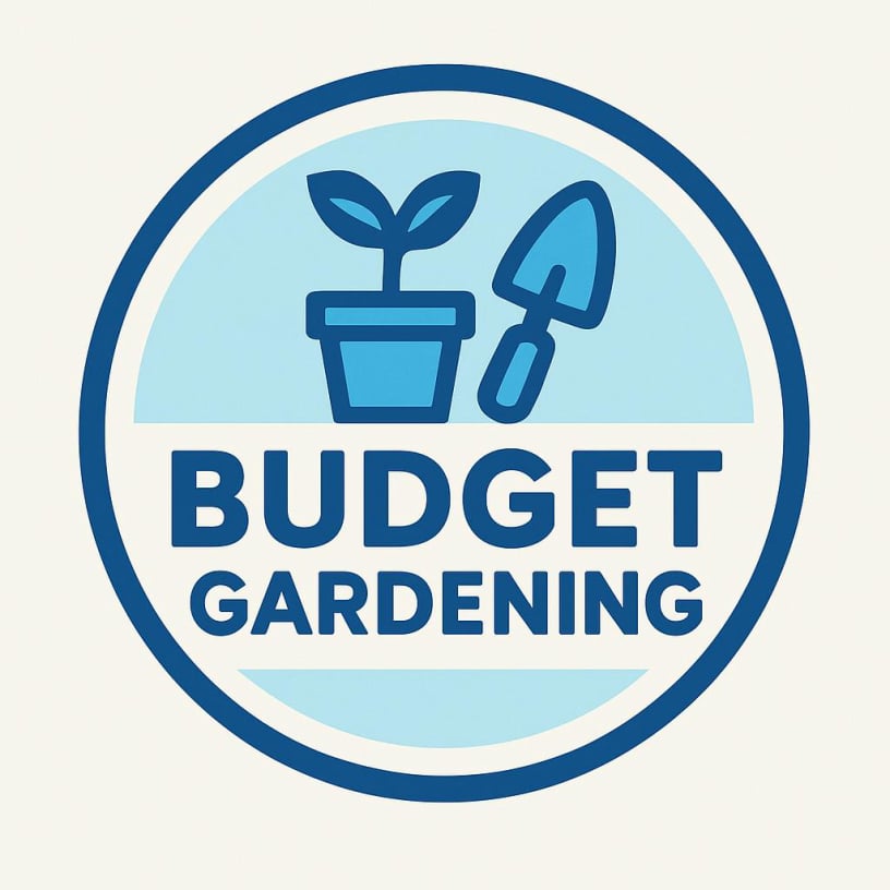 Budget clean