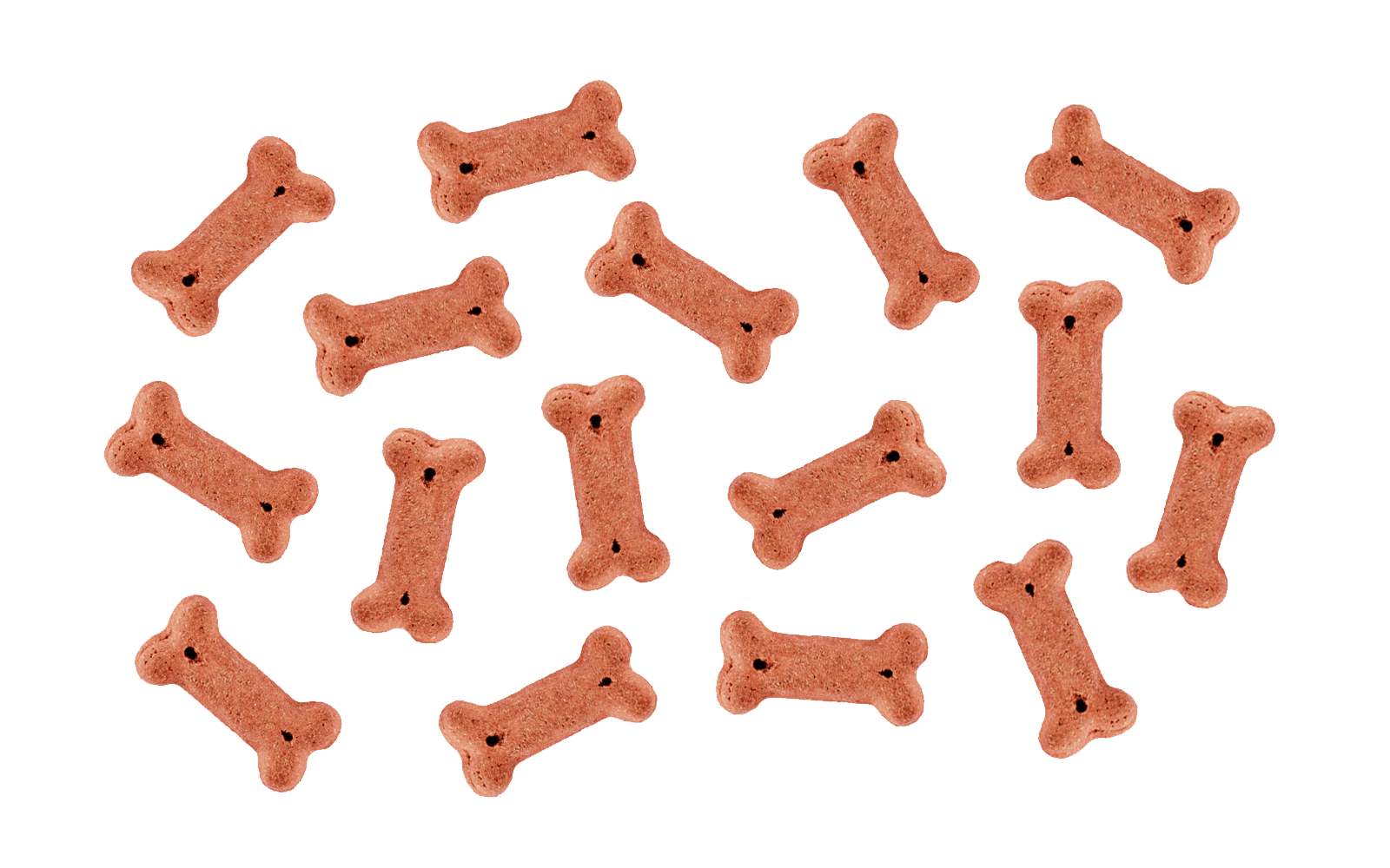 Fennic Pets allowed property